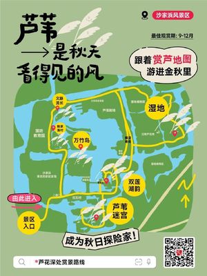 跟著這份賞蘆地圖,走進沙家浜的秋