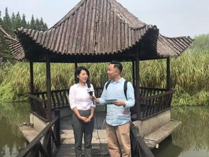 走進(jìn)沙家浜革命歷史紀(jì)念館,尋訪當(dāng)年 沙家浜 的故事