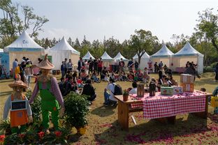 30天吸粉40萬，2019長興島郊野公園兩節圓滿閉幕，沙家浜旅游再掀熱潮