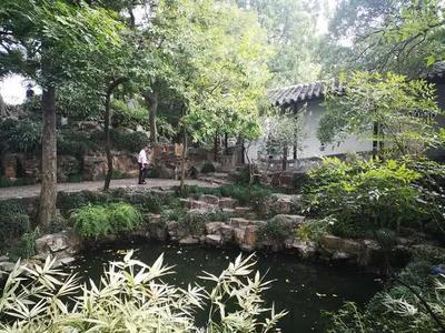 國慶黃金周蘇州旅游市場繁榮，沙家浜接待游客700萬人次創(chuàng)佳績