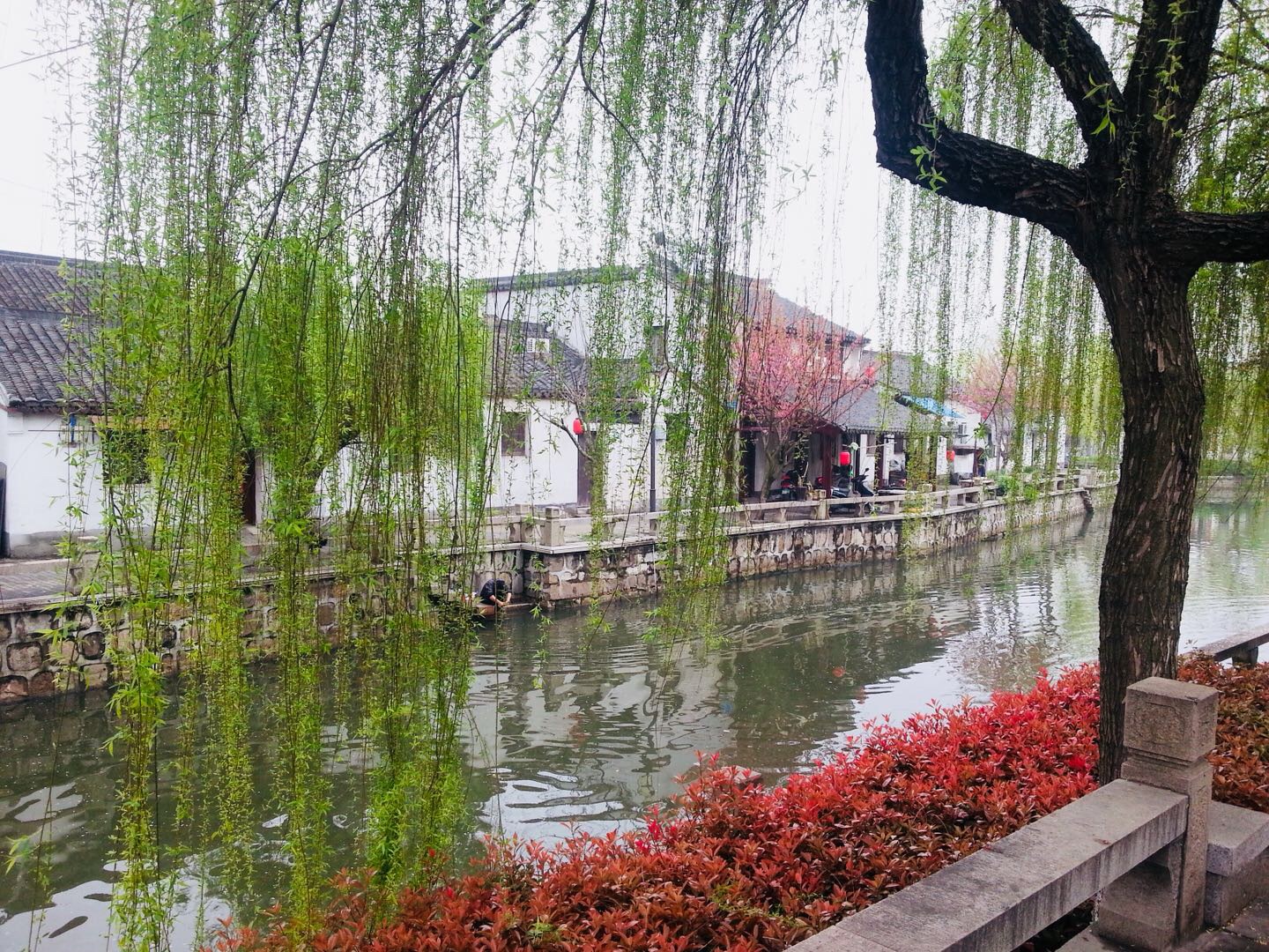 深度旅游沙家浜 從歷史深處走來的另一種體驗(yàn)