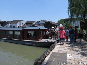 蘆葦蕩里憶崢嶸，水鄉(xiāng)澤國覓野趣——沙家浜濕地公園紀(jì)行