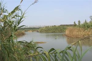 沙家浜風(fēng)景區(qū)全攻略 門票、地址、亮點(diǎn)與游玩路線一網(wǎng)打盡