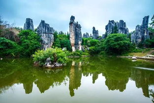 這里的景色憑什么征服全世界？——探尋云南旅行的正確打開(kāi)方式